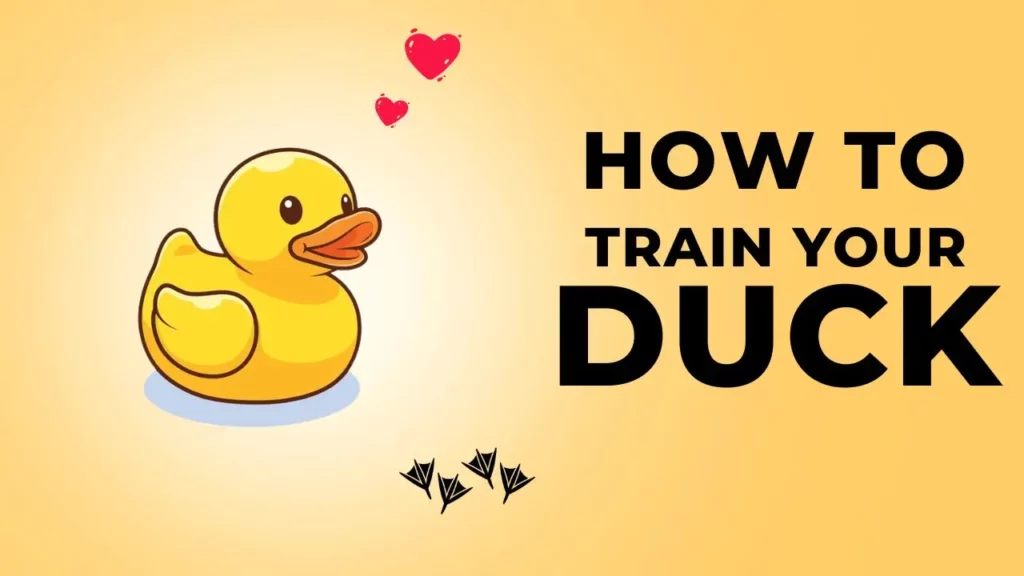 How to Train Your Duck in Duck Life